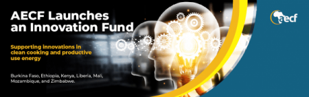 African Enterprise Challenge Fund (AECF), Renewable Energy Startups