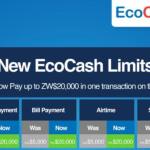 EcoCash transaction limits now ZWL20 000