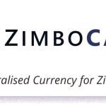 ZimboCash API, App ZASH