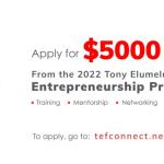 Tony Elumelu Entrepreneurship Programme