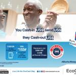 EcoCash Cash In, Cash Out, Remittances