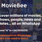 Local startup takes on movie recommendations via WhatsApp