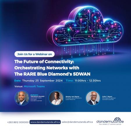 Unlock the Future of Connectivity (Dandemutande Webinar)