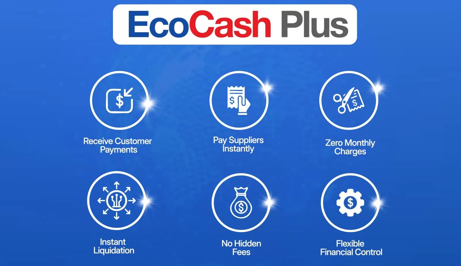 EcoCash Plus: New Mobile Money Wallet Targeted At Small Business & The Informal
