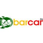 BarCamp Zim