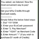 biNu EcoCash Message