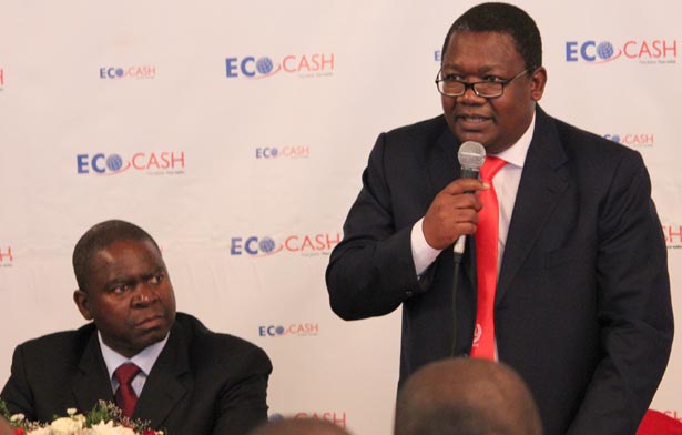 CBZ Bank Executive Director Colin Chimutsa, EcoCash, CBZ partnership