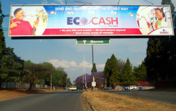 EcoCash