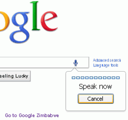 Google Voice Search