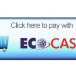 EcoCash internet payments