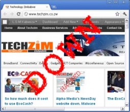 Techzim was down this morning