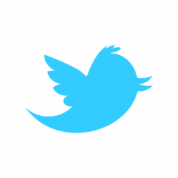 Twitter bird