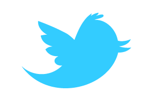 Twitter bird