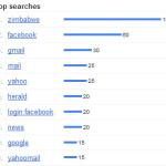 Google Zimbabwe Top Searches for 2010